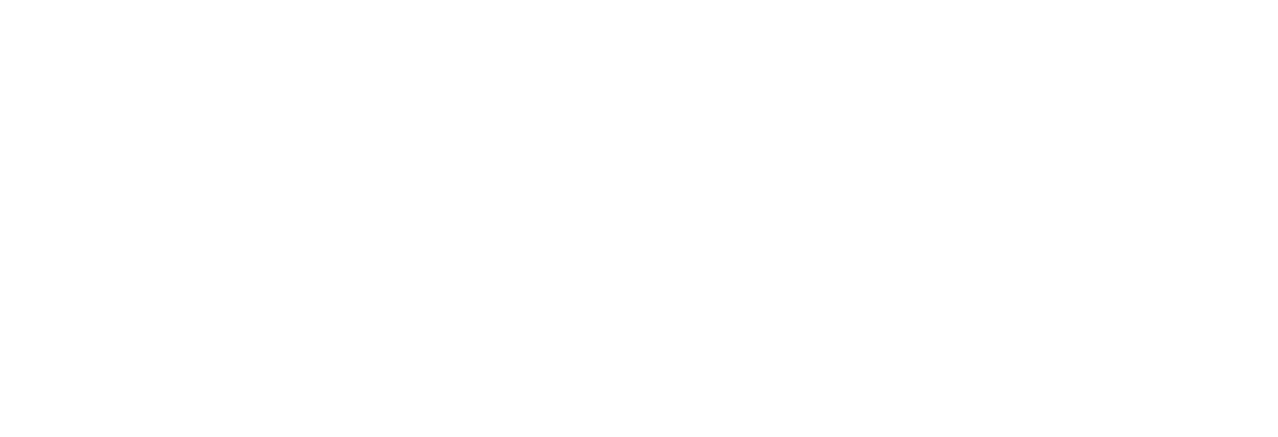 LIONS Marketing Digital